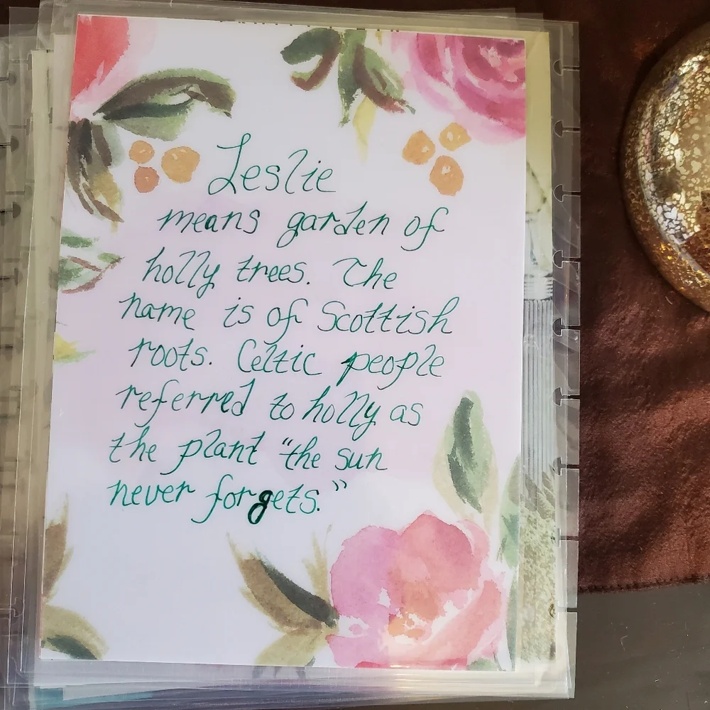 Handmade cover for your Classic size Disc Bound Planner Leslie